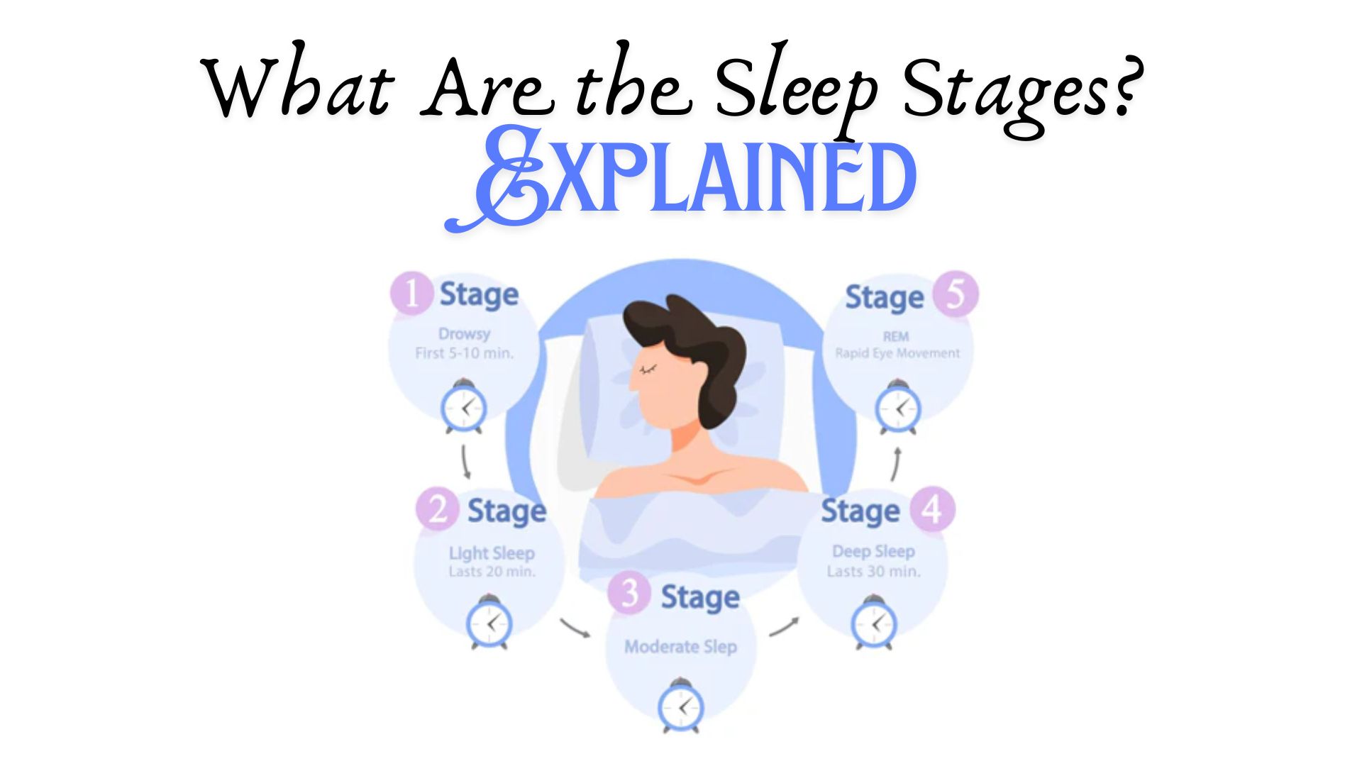 Diagram showing five sleep stages from light sleep to REM N3